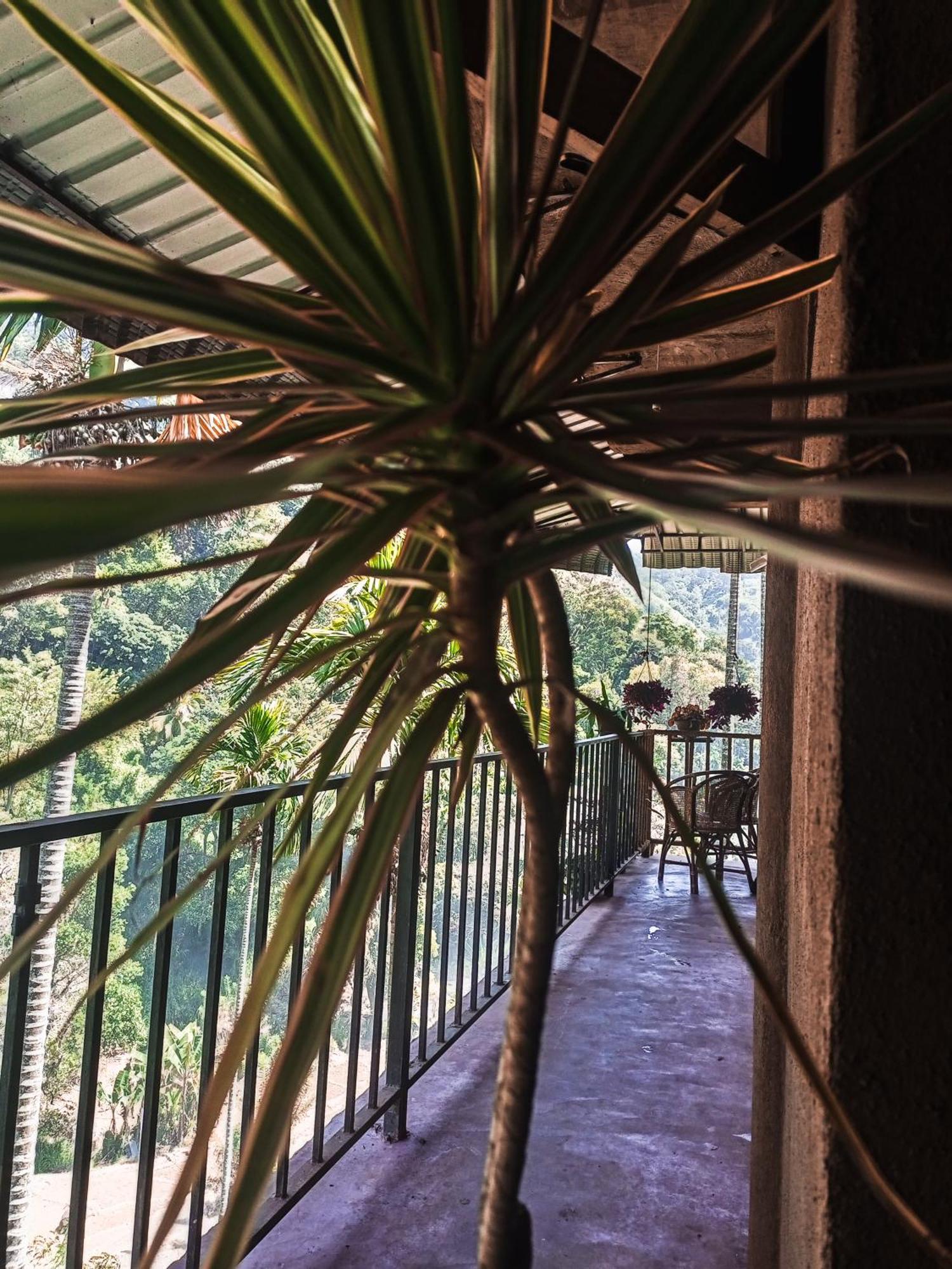 Bed and Breakfast Creek Downhills Ella Exterior foto